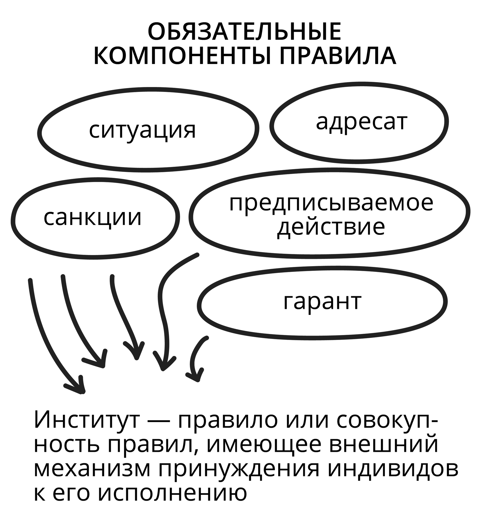 Определение и компоненты институтов