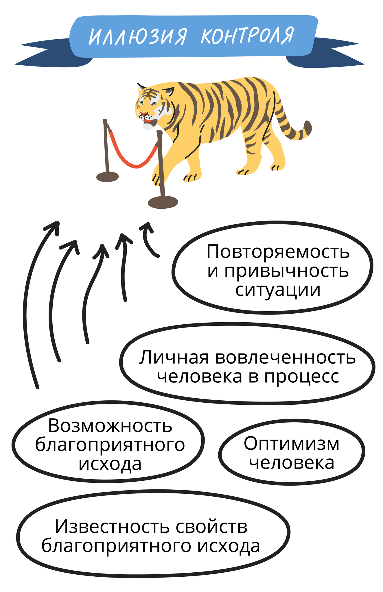 Финансовая грамотность | 1.3.7. Иллюзия контроля