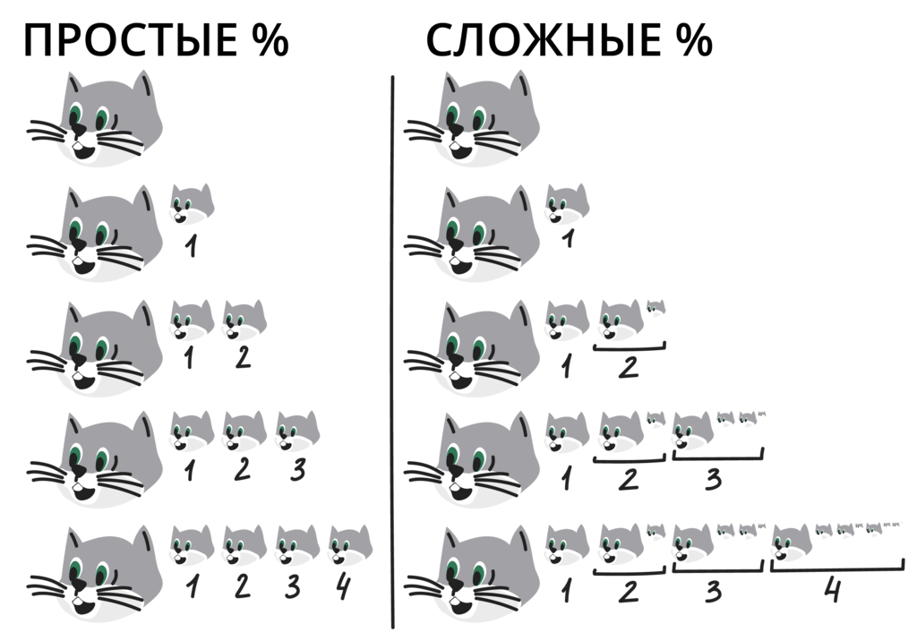 7-5-1-2
