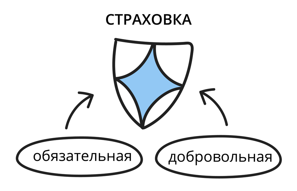 Виды страхования: обязательное и добровольное